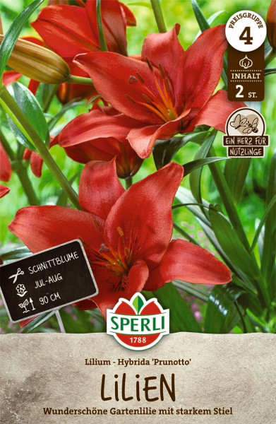 Produktbild von Sperli Lilie Prunotto mit Abbildung der roten Blüten, Informationen zur Pflanzengröße, Blütezeit und Verpackungsinhalt in deutscher Sprache, sowie dem Hinweis dass das Produkt gut für Nützlinge ist.