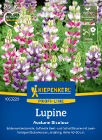 Kiepenkerl Lupine Avalune Bicolour