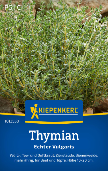 Kiepenkerl Thymian Echter Vulgaris