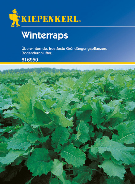 Produktbild von Kiepenkerl Winterraps 80 g mit Angaben zu überwinternder frostsicherer Gründungspflanze und Bodendurchlüfter.