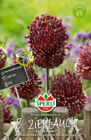 Sperli Zierlauch Red Mohican