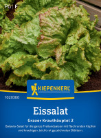 Kiepenkerl Eissalat Grazer Krauthäuptel 2