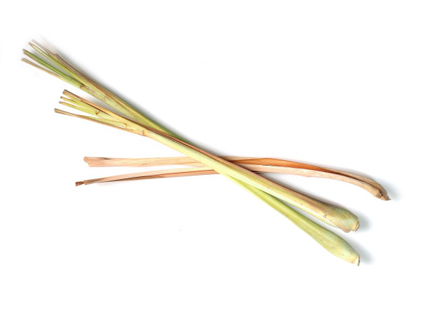 lemongrass-4660943_1920