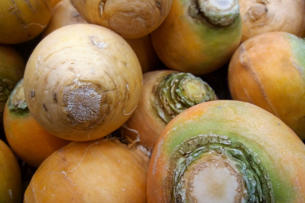 2400-stack-of-turnip-golden-balls-on-a-market-stall