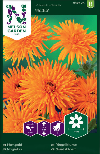 Produktbild von Nelson Garden Ringelblume Radio mit leuchtend orangen Blüten und Verpackungsinformationen wie Pflanzanleitung und Icons für Pflanzeneigenschaften.