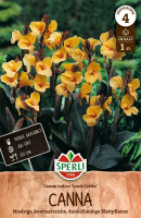 Sperli Blumenrohr Louis Cottin