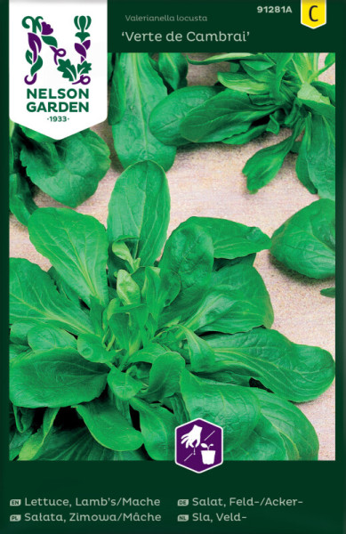 Produktbild von Nelson Garden Feldsalat Verte de Cambrai mit Pflanzenbildern und Verpackungsdesign in Grün- und Lilatönen mit Markenlogo und Produktname