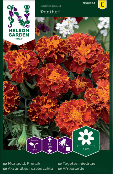 Produktbild von Nelson Garden Niedrige Tagetes Panther mit blühenden orangeroten Blumen und Verpackungsinformationen auf Deutsch.