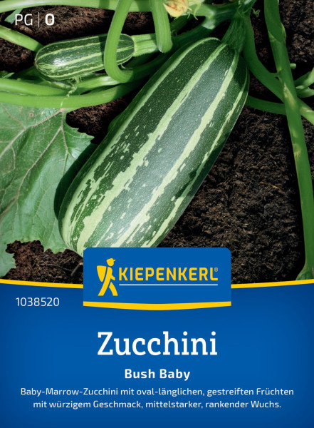 Kiepenkerl Zucchini Bush Baby F1