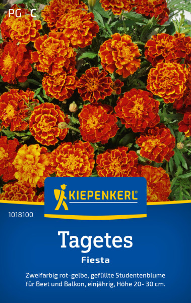 Kiepenkerl Tagetes Fiesta