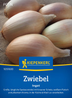 Kiepenkerl Zwiebel Ingot F1