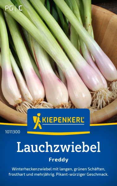 Zwiebeldngung: Optimale Nhrstoffversorgung | Samen.de