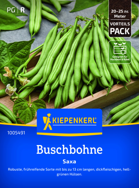 Kiepenkerl Buschbohne Saxa Megapackung