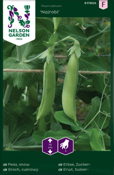 Produktbild von Nelson Garden Zuckererbse Nairobi mit Abbildung reifender Erbsen an der Pflanze und Angaben zur Wuchshöhe sowie Erntehinweisen.
