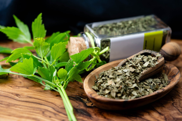 2400-leaves-of-the-lovage-plant-levisticum-officinale-fresh-and-dried