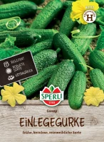 Sperli Einlegegurke Conny, F1