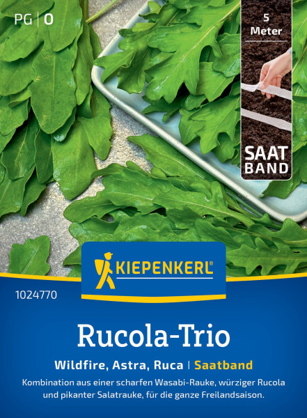 Kiepenkerl Rucola-Trio Wildfire Astra Salatrauke Ruca Saatband