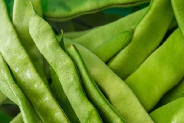 large-close-up-photo-of-green-beans-1
