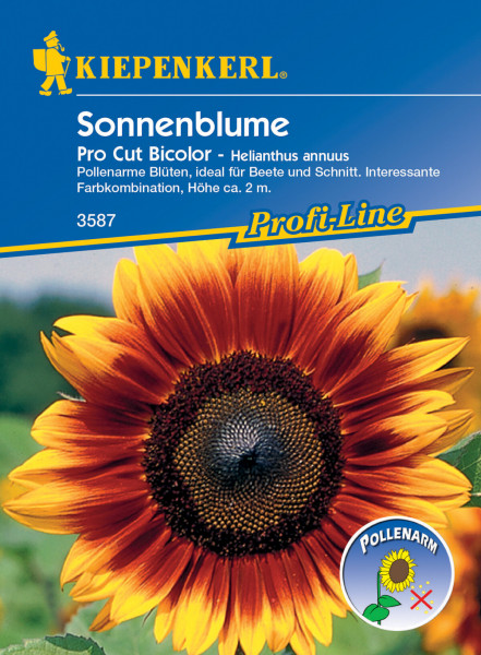 Sonnenblume Pro Cut Bicolor, F1