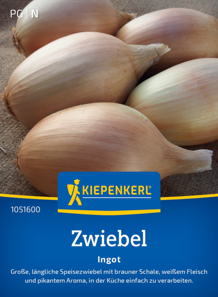 Kiepenkerl Zwiebel Ingot F1