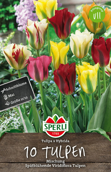 Produktbild mit einer Mischung von spätblühenden Viridiflora Tulpen verschiedener Farben und dem Markenlogo von Sperli samt Produktinformationen