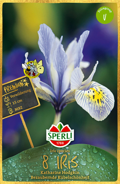 Produktbild von Sperli Premium Iris Katharine Hodgkin mit Produktinformationen und einer dargestellten Blüte auf der Verpackung.
