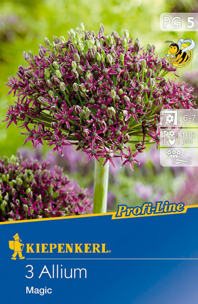 Produktbild von Kiepenkerl Profi-Line Zierlauch Magic mit lila Blüten und Informationen zu Pflanzzeit und Wuchshöhe auf der Verpackung.