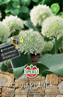 Sperli Zierlauch Ivory Queen