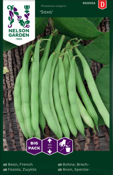 Produktbild von Nelson Garden Brechbohne Saxa Big Pack mit Abbildungen gruener Bohnen und Blaettern auf einem holzigen Hintergrund und Icons zur Pflanzenhoehe und Aussaat Informationen.