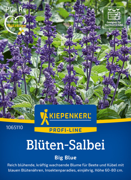 Kiepenkerl Blüten-Salbei Big Blue F1