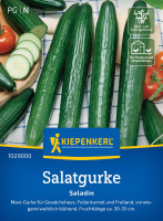 Kiepenkerl Salatgurke Saladin F1