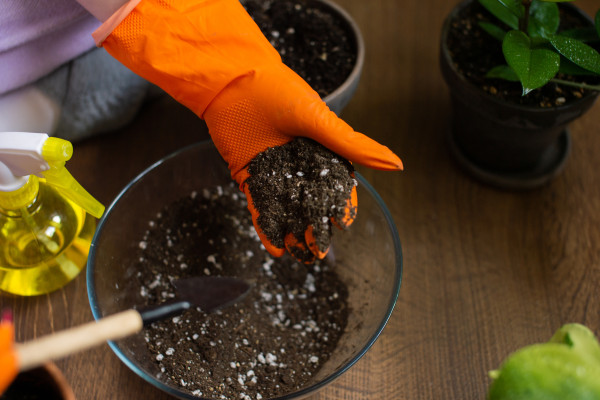 2400-transplanting-homemade-flowers-in-rubber-gloves