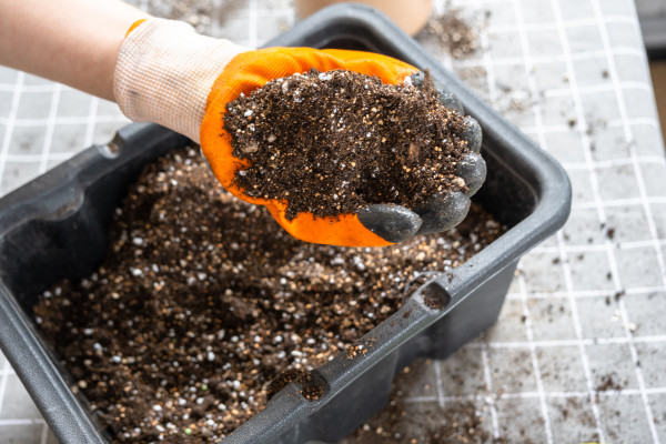 2400-ingredients-for-the-soil-of-home-potted-plants-peat-earth-sand-perlite