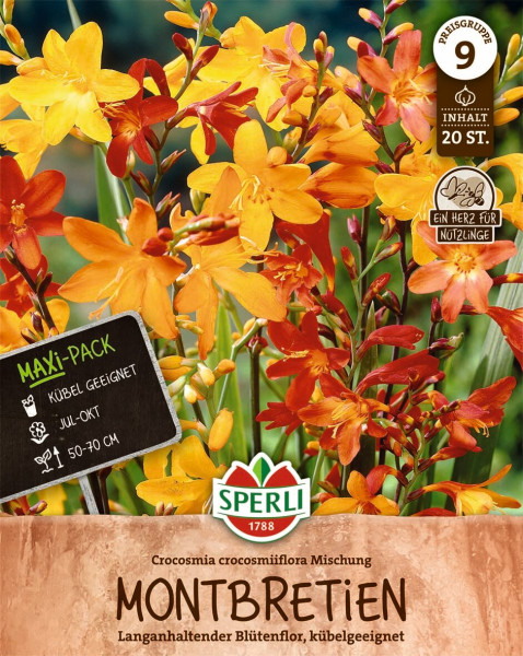Produktbild von Sperli Montbretien Mix mit verschiedenen orangefarbenen und gelben Blüten Informationen zur Sorte und Hinweise für die Pflanzung im Maxi-Pack Format.