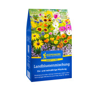 Kiepenkerl Blumenmischung Landblumenmischung