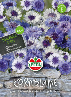 Sperli Kornblume Classic Fantastic