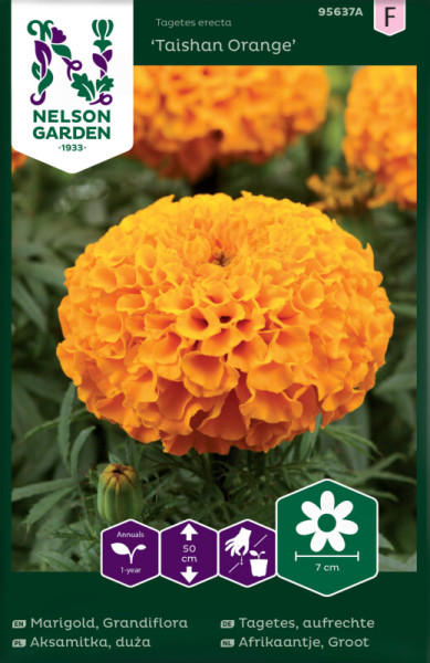 Produktbild von Nelson Garden Aufrechte Tagetes Taishan Orange mit Nahaufnahme einer orangefarbenen Blüte und Informationen zur Pflanzenpflege und Wuchshöhe auf der Verpackung.
