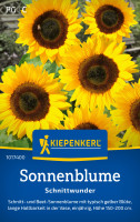 Kiepenkerl Sonnenblume Schnittwunder