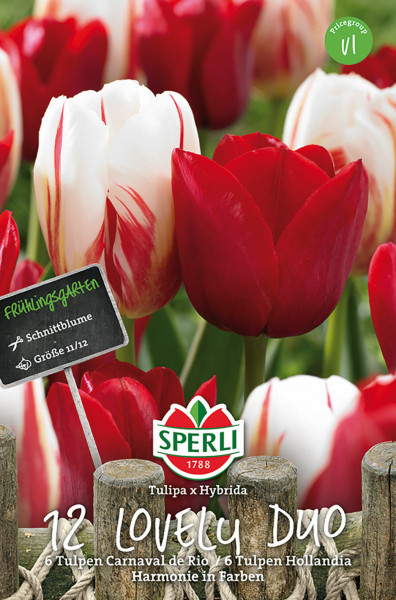 Produktbild von Sperli Frühlingsgarten Lovely Duo mit zwölf Tulpen in rot und weiß mit Preisgruppenhinweis und Markenlogo.