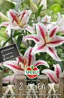 Sperli Lilie Tiger Woods