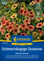 Kiepenkerl Schwarzäugige Susanne African Sunset