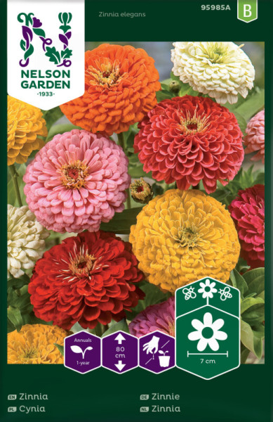 Produktbild von Nelson Garden Zinnie mit bunten Blüten in verschiedenen Farbtönen und Pflanzeninformationssymbolen auf der Verpackung.