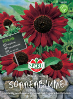 Sperli Sonnenblume Velvet Queen