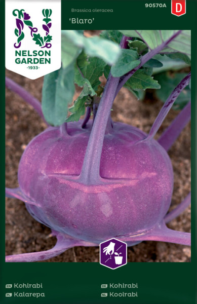 Produktbild von Nelson Garden Kohlrabi Blaro mit Darstellung der violetten Kohlrabi-Pflanze und Verpackungsinformationen in verschiedenen Sprachen.