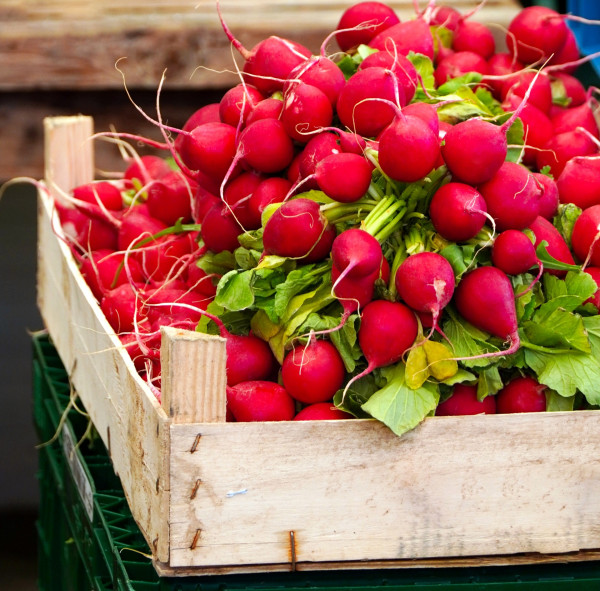 radish-5116751_1920