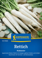 Kiepenkerl Rettich Alabaster F1