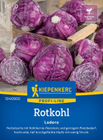 Kiepenkerl Rotkohl Lodero F1