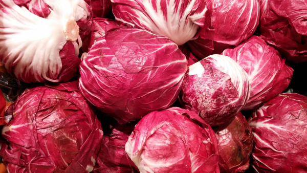 radicchio-salad-1568169_1920