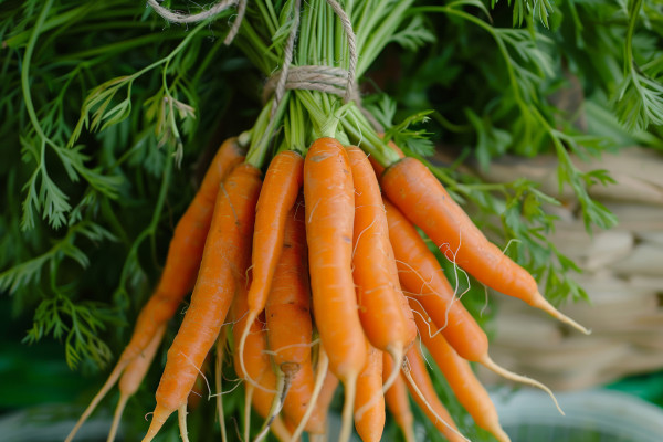 large-close-up-of-carrots-in-a-bunch-tied-with-twine-emphasizing-the-natural-and-fresh-harvest-theme