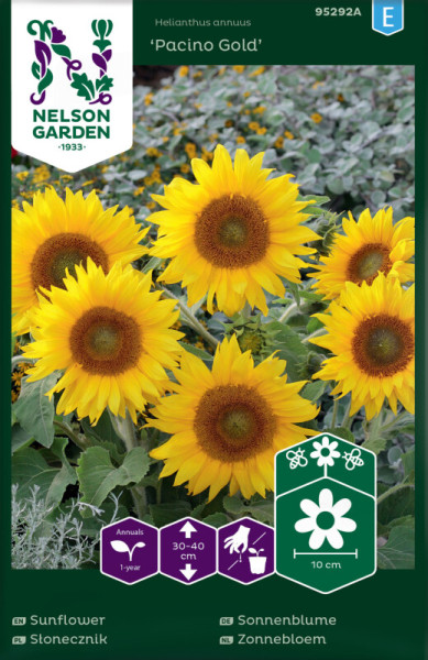 Produktbild von Nelson Garden Sonnenblume Pacino Gold mit mehreren großen, gelben Blüten und Informationen zur Pflanzengröße sowie dem Markenlogo.